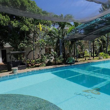 White Chocolate Hills Resort Zamboanguita  Exteriér fotografie
